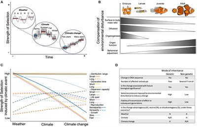 Within- and Trans-Generational Environmental Adaptation to Climate Change: Perspectives and New Challenges